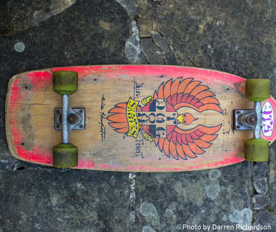 A vintage Dogtown skateboard with a colorful bird perched on it, showcasing a unique blend of skate culture and nature.