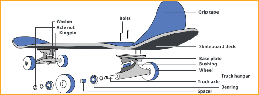 Diagram of a skateboard with labeled parts, showcasing all components of a complete skateboard for easy identification.